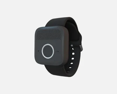 wristband wristband