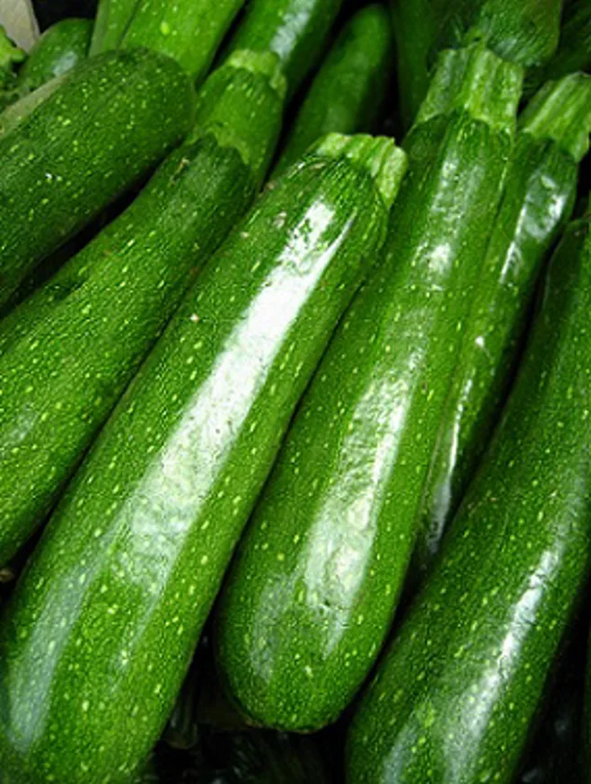 Zucchini Zucchini